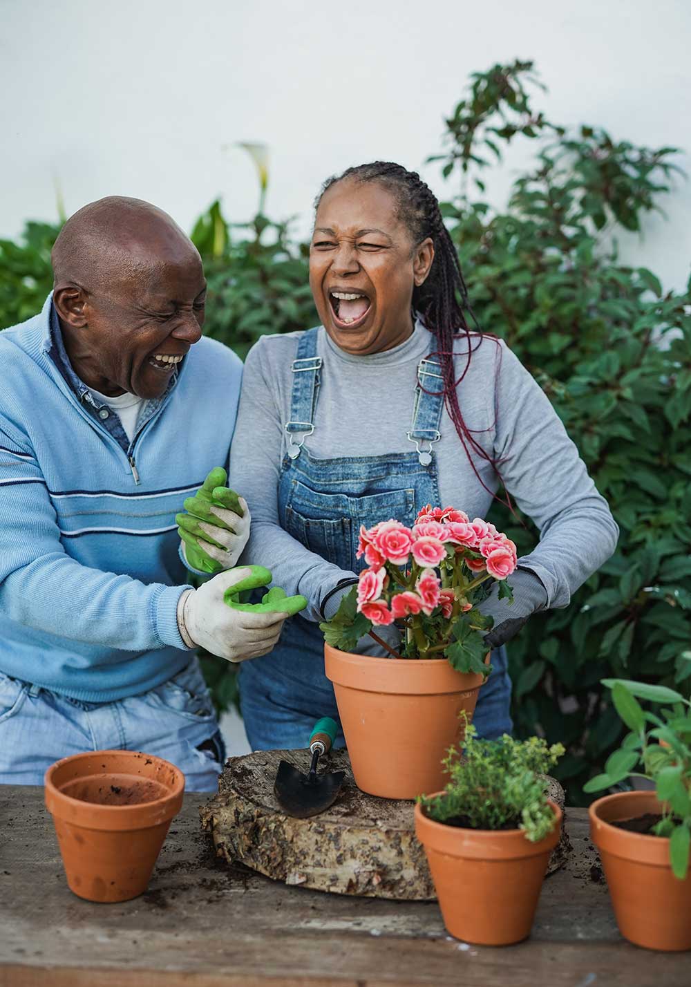 Two people are laughing together while gardening. One holds a pot of pink flowers, and the other, sporting green gloves, is clearly enjoying the moment. On a table in front of them are plants and gardening tools—just another delightful day in senior living in Missouri.