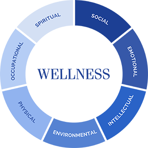 A wellness wheel showing seven dimensions: social, emotional, intellectual, environmental, physical, occupational, and spiritual—each written in corresponding color-coded segments. Ideal for senior living programs to help residents achieve balanced well-being.